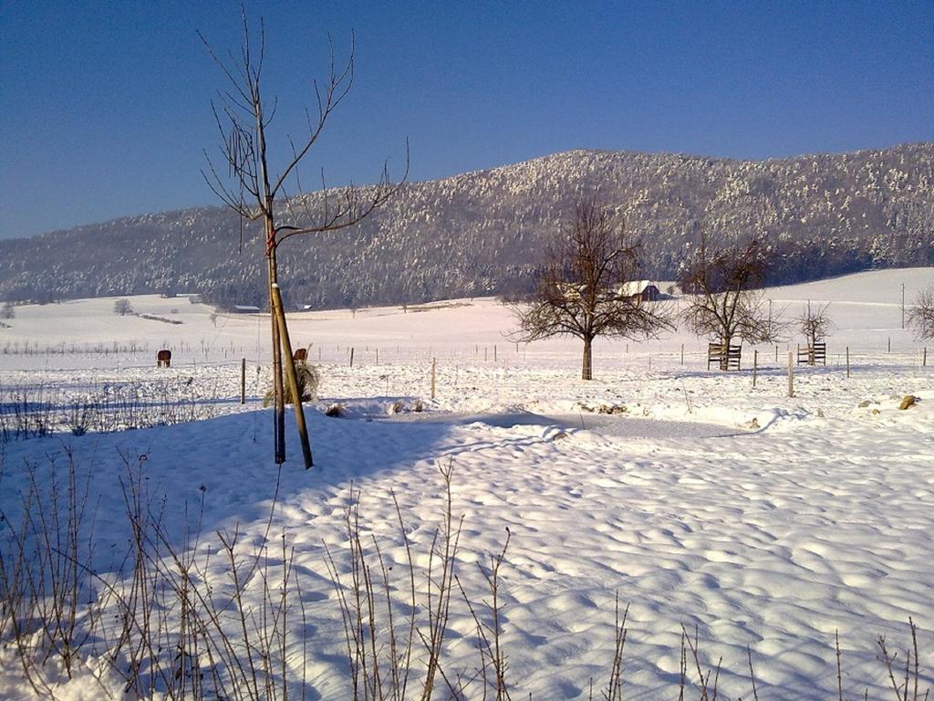 Hotel-Gite Rural A 3 Km De Delemont Courcelon Екстер'єр фото